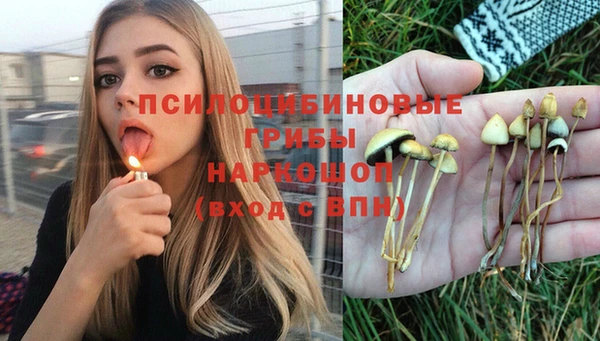 винт Аркадак