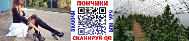 Шишки марихуана конопля  Байкальск 
